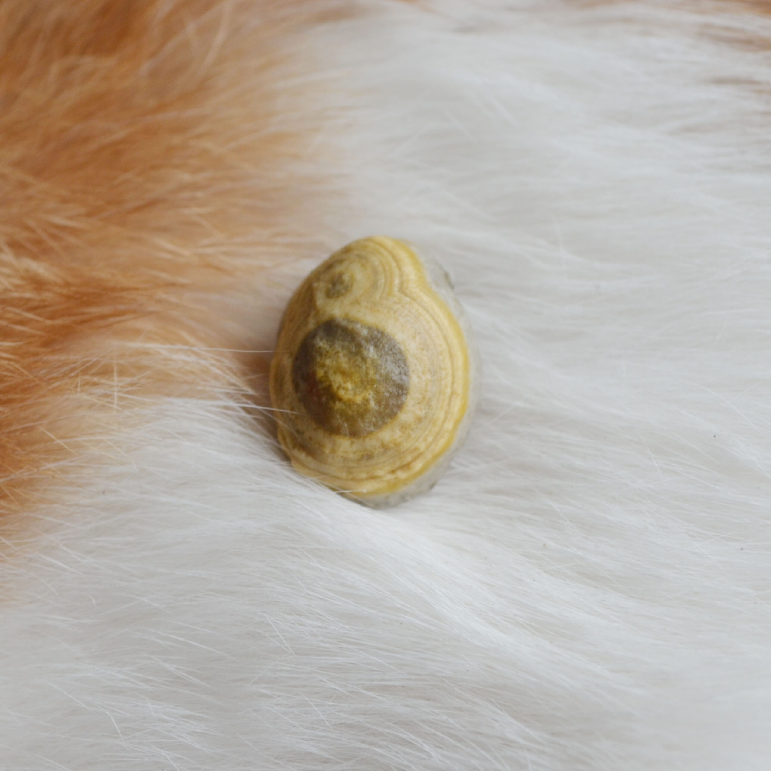 Natural Gobi agate eye , Mongolia Gobi Desert agate eye, Layers agate eye