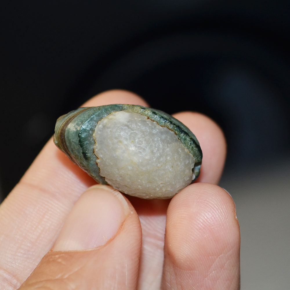 Custom Eden Natural Gobi agate eyes , Mongolia Gobi Desert agate eyes, White with big eyes agate - 图片 2
